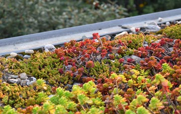 the cost of Poundon green roof installation