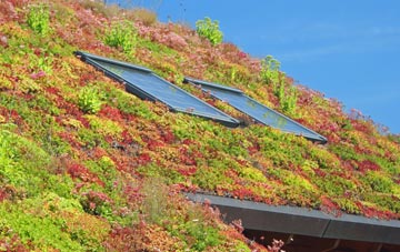 Poundon living roof systems